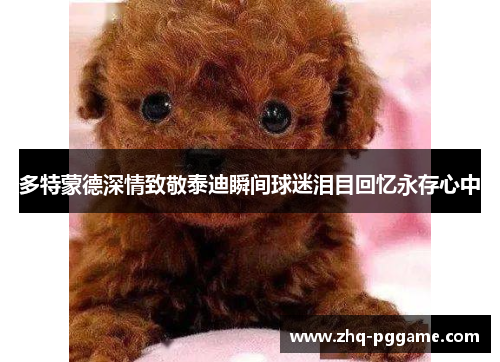 多特蒙德深情致敬泰迪瞬间球迷泪目回忆永存心中