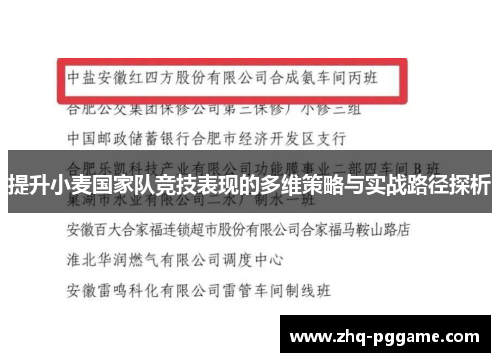 提升小麦国家队竞技表现的多维策略与实战路径探析 提升小麦国家队竞技表现的多维策略与实战路径探析